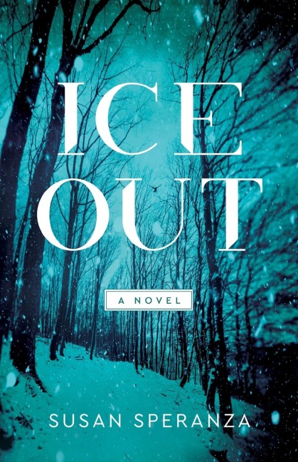 Ice Out: A Novel