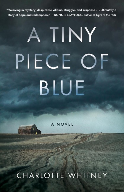 Tiny Piece of Blue