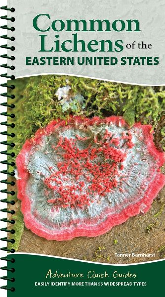 Common Lichens of the Eastern United States: Easily Identify 58 Widespread Types
