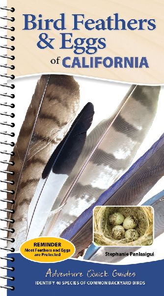 Bird Feathers & Eggs of California: Identify 40 Species of Common Backyard Birds
