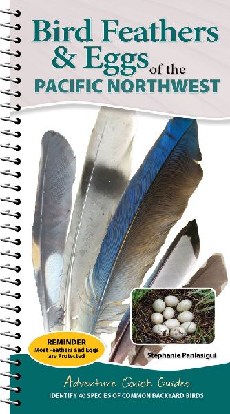 Bird Feathers & Eggs of the Pacific Northwest: Identify 44 Species of Common Backyard Birds