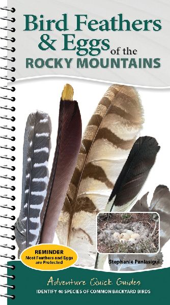 Bird Feathers & Eggs of the Rocky Mountains: Identify 40 Species of Common Backyard Birds