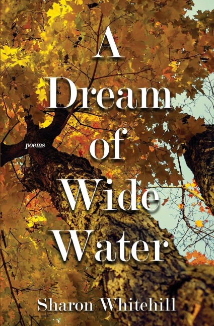 A Dream of Wide Water