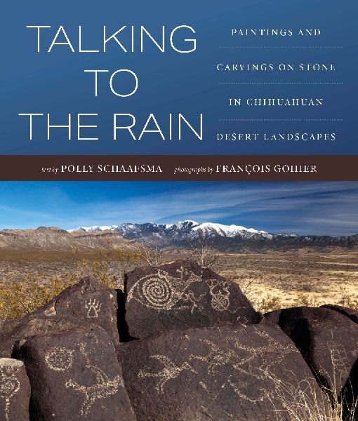 Talking to the Rain: Paintings and Carvings on Stone in Chihuahuan Desert Landscapes
