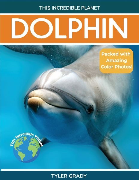 Dolphin: Fascinating Animal Facts for Kids