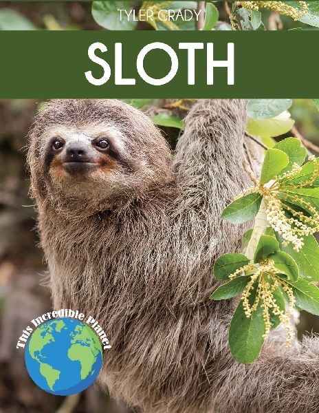 Sloth: Fascinating Animal Facts for Kids