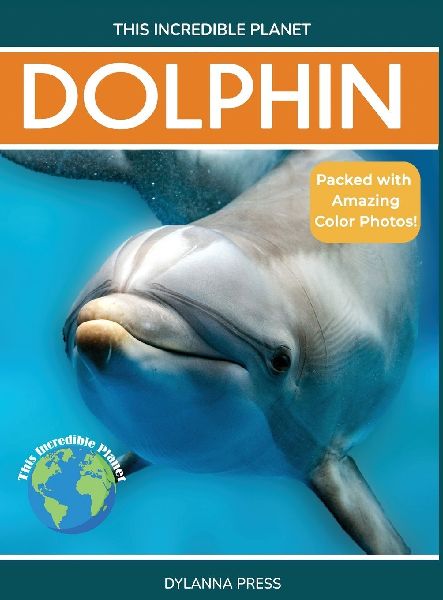 Dolphin: Fascinating Animal Facts for Kids