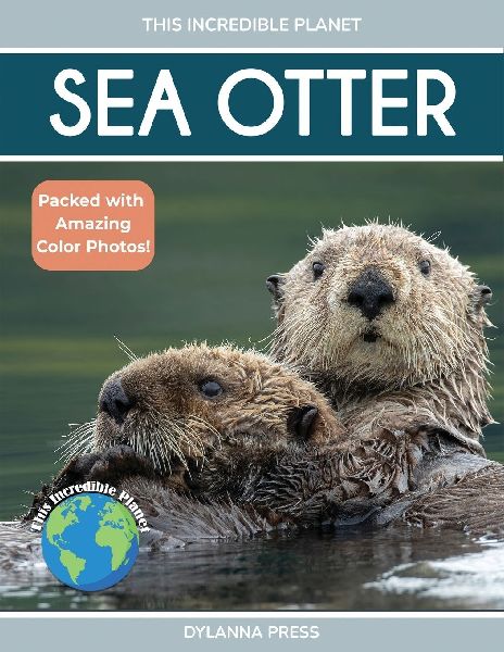 Sea Otter: Amazing Facts About Oceans  Cleverest Mammals for Kids