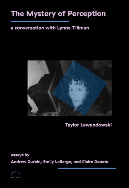 The Mystery of Perception: A Conversation with Lynne Tillman