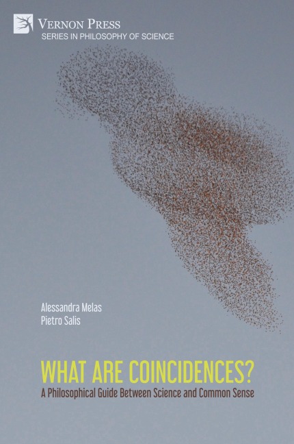 What are Coincidences? A Philosophical Guide Between Science and Common Sense