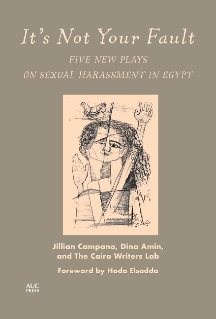 Its Not Your Fault: Five New Plays on Sexual Harassment in Egypt