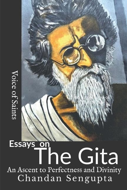 Essays on Gita: An Ascent to Perfectness and Divinity