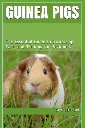 Guinea Pigs The Essential Guide to Ownership, Care, and Training for Beginners