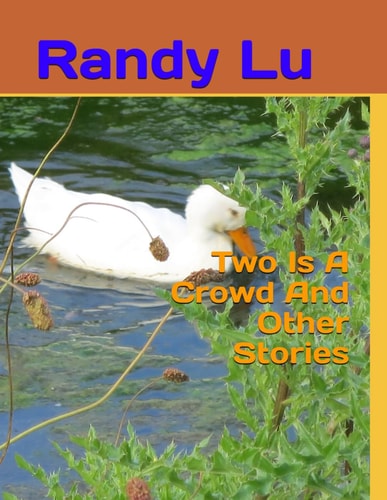 Two Is A Crowd And Other Stories