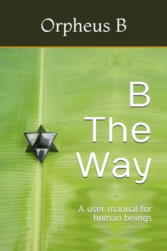 B The Way A User Manual for Human Beings