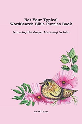 Not Your Typical WordSearch Bible Puzzles Book Featuring the Gospel According to John