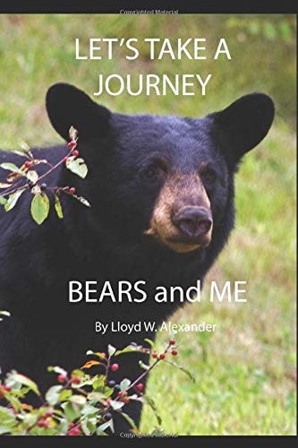 Let's Take a Journey Bears and ME
