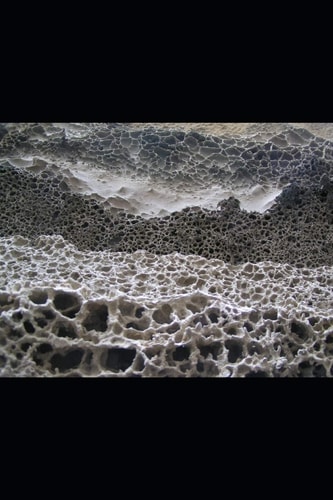 Microorganisms and Bioremediation