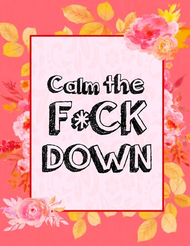 Calm the F * Ck Down An Irreverent Adult Coloring Book with Flowers Falango, Lions, Elephants, Owls, Horses, Dogs, Cats, and Many More
