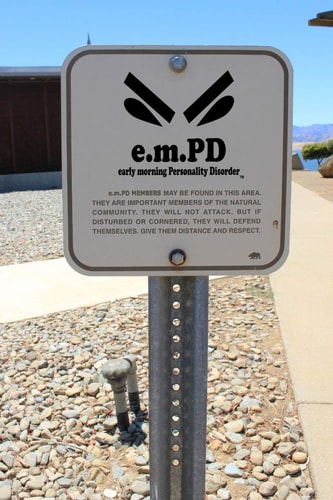 E.m.PD Early Morning Personality Disorder