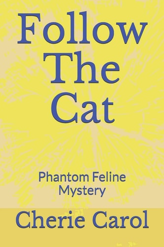 Follow The Cat Phantom Feline Mystery