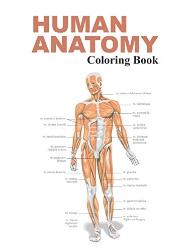 Human Anatomy Coloring Book The Anatomy Coloring Book