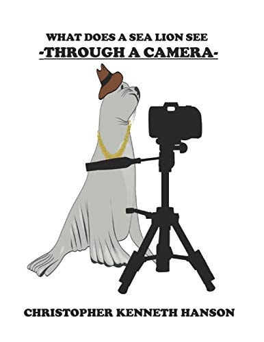 What Does a Sea Lion See Through a Camera?