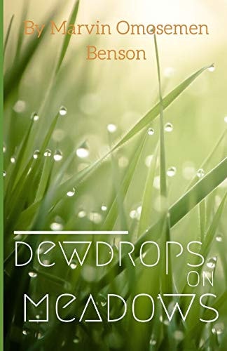 Dewdrops On Meadows