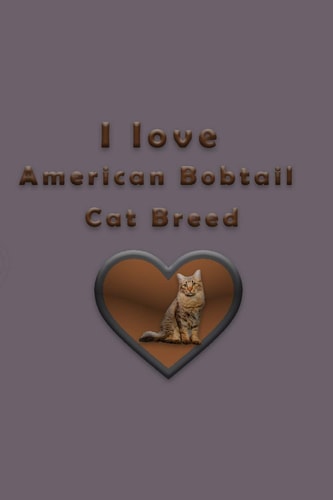 I Love American Bobtail Cat Breed