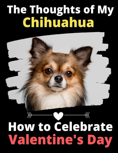 The Thoughts of My Chihuahua How to Celebrate Valentine's Day