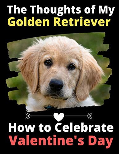 The Thoughts of My Golden Retriever How to Celebrate Valentine's Day