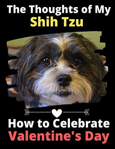 The Thoughts of My Shih Tzu How to Celebrate Valentine's Day