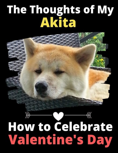 The Thoughts of My Akita How to Celebrate Valentine's Day