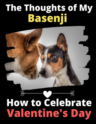 The Thoughts of My Basenji How to Celebrate Valentine's Day