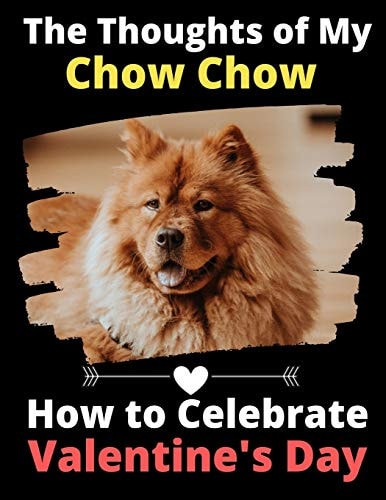 The Thoughts of My Chow Chow How to Celebrate Valentine's Day