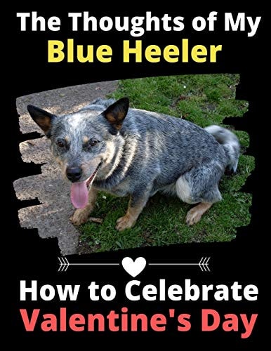 The Thoughts of My Blue Heeler How to Celebrate Valentine's Day