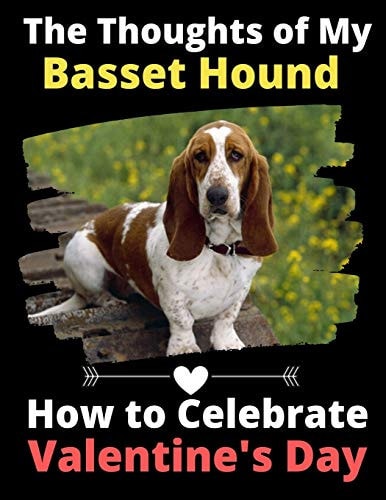 The Thoughts of My Basset Hound How to Celebrate Valentine's Day