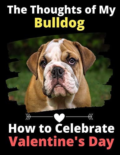 The Thoughts of My Bulldog How to Celebrate Valentine's Day