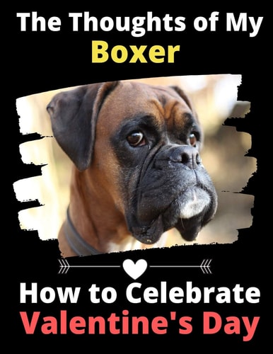 The Thoughts of My Boxer How to Celebrate Valentine's Day