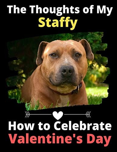 The Thoughts of My Staffy How to Celebrate Valentine's Day