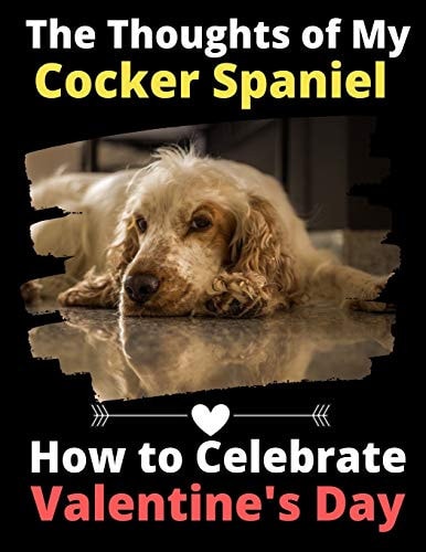 The Thoughts of My Cocker Spaniel How to Celebrate Valentine's Day