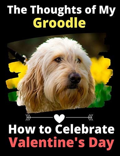 The Thoughts of My Groodle How to Celebrate Valentine's Day