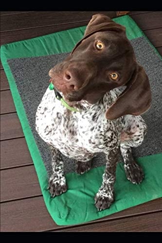 Zara the Geeper's 2019 Dog Blog Musings of an Exceptioal Dog