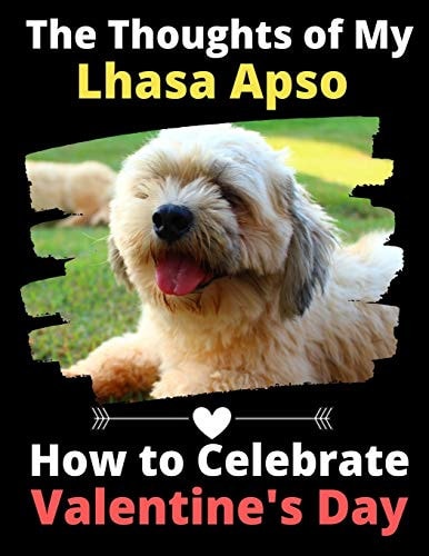 The Thoughts of My Lhasa Apso How to Celebrate Valentine's Day
