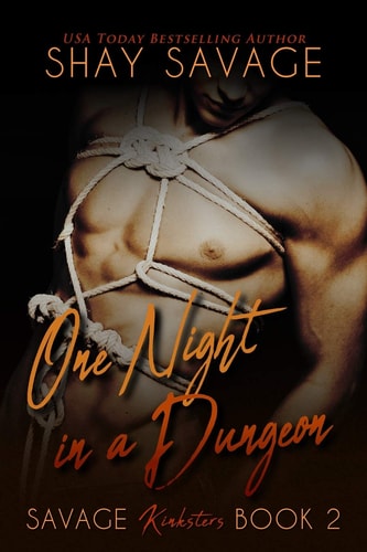 One Night in a Dungeon Savage Kinksters Book 2