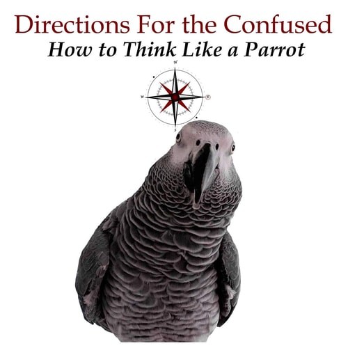 Directions for the Confused How To Think Like a Parrot
