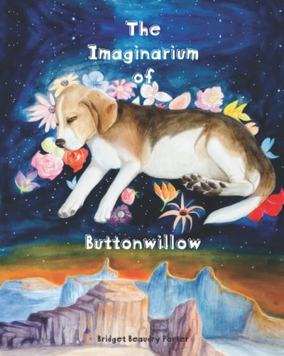 The Imaginarium of Buttonwillow