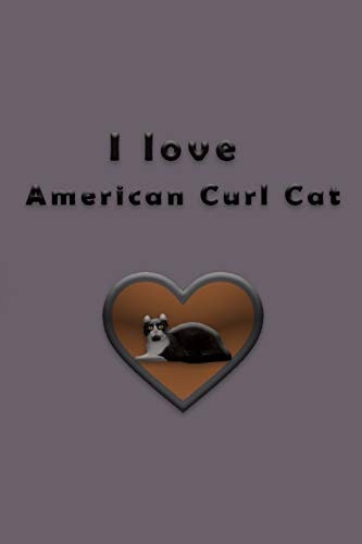 I Love American Curl Cat
