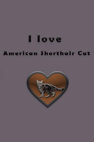 I Love American Shorthair Cat