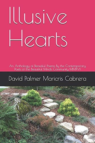 Illusive Hearts An Anthology of Beautiful Poems By the Contemporary Poets of the Beautiful Minds Community MMXVI